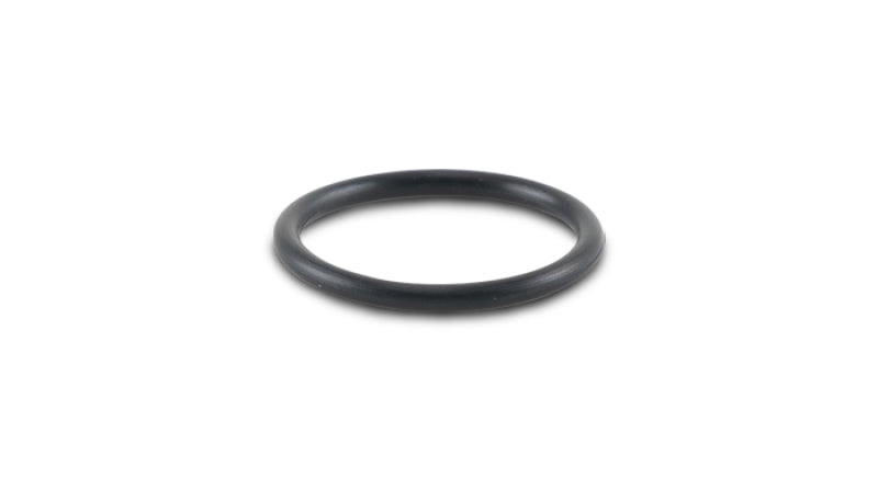 Vibrant -019 O-Ring for Oil Flanges